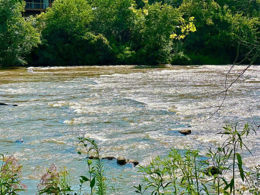 פרנקלין Riverside Relaxer W/Hot Tub+Fire Pit +Wifi & View מראה חיצוני תמונה