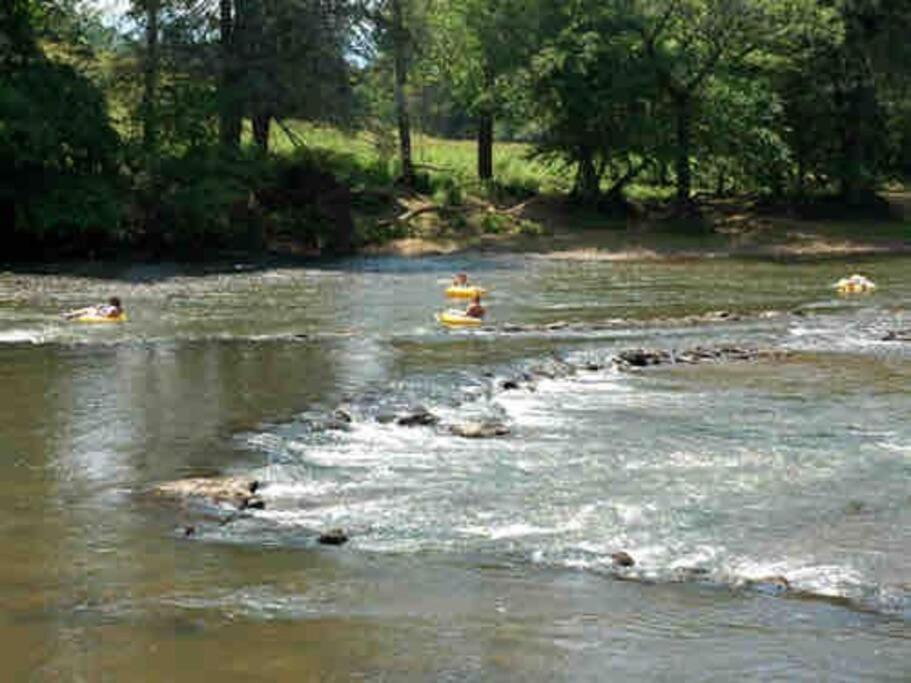 פרנקלין Riverside Relaxer W/Hot Tub+Fire Pit +Wifi & View מראה חיצוני תמונה
